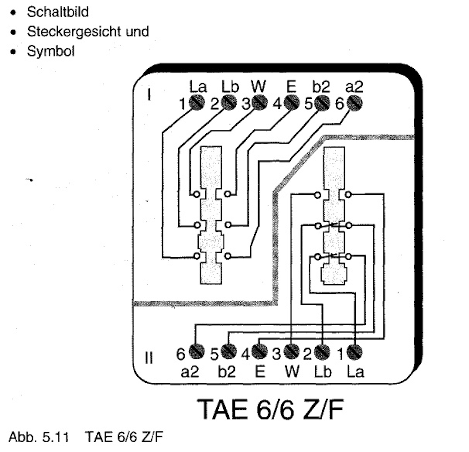 TAE_6-6_Z-F.jpeg