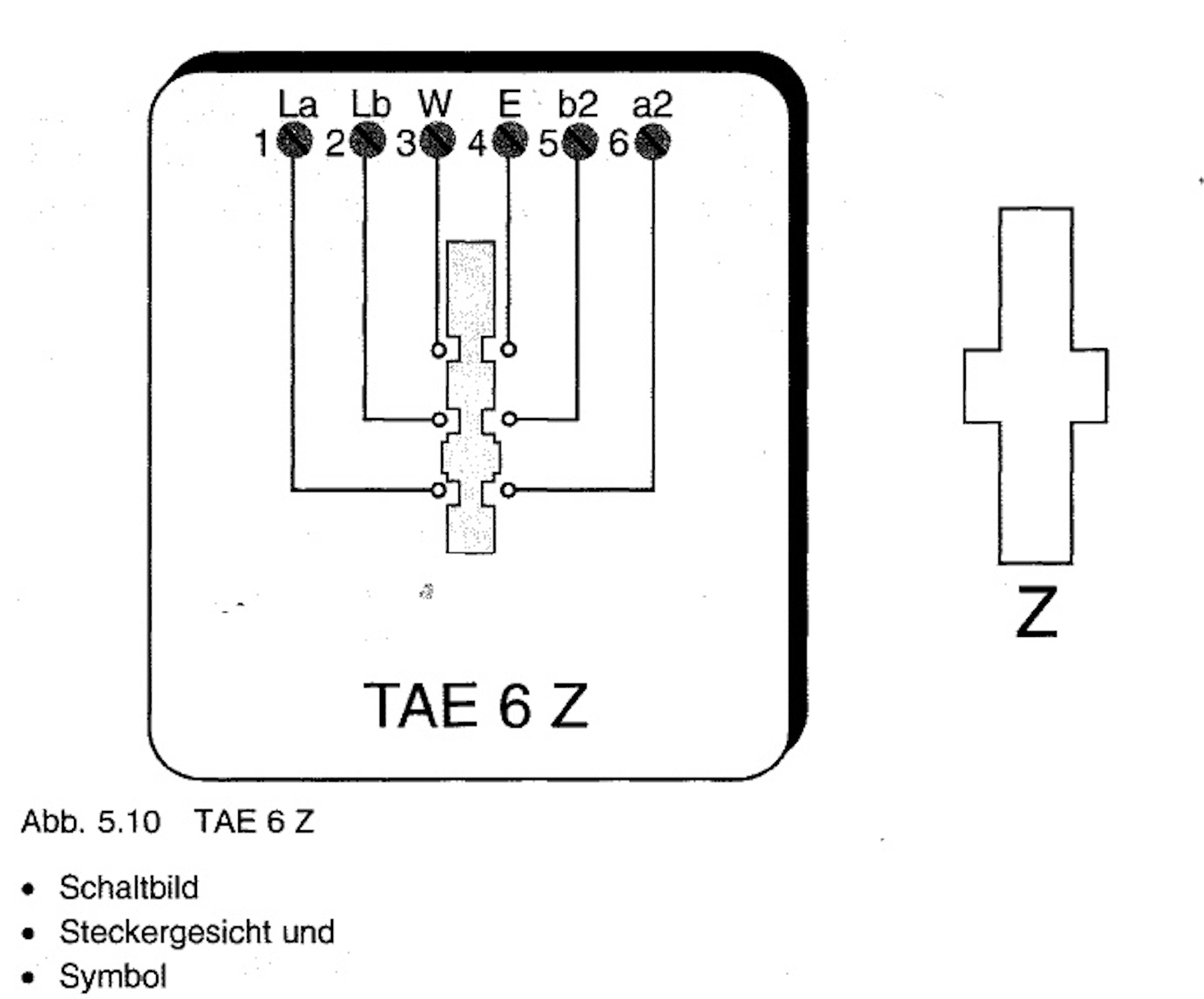 TAE_6_Z.jpeg